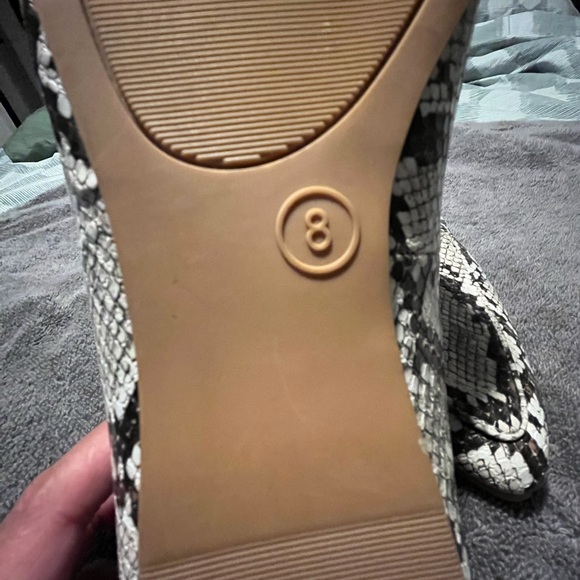 Flats - Picture 6 of 6